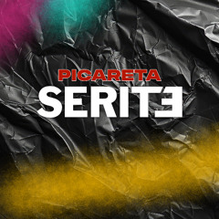 PICARETA