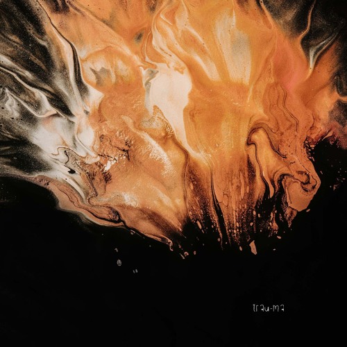BR!NK - Schwarzwald (The Preventer Remix) [TRM310]