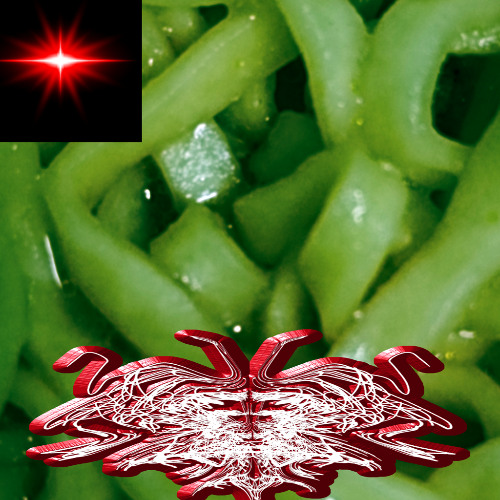 全世界で箸が禁止されるらしい