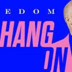 DJ Freedom - Hang On (F4LK Remix)