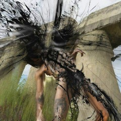 sorry'nt w/kill rabbits (Official video in description)