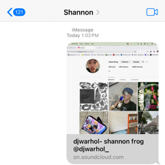 djwarhol- shannon frog @djwarhol_