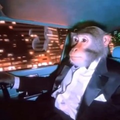 in the ayer (marzocco edit)