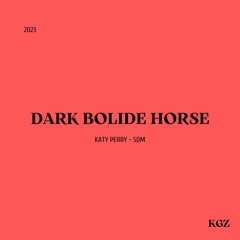 Katy Perry x SDM Dark Bolide Horse