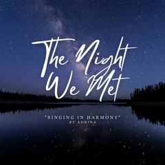 the night we met intro