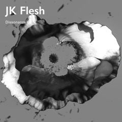 Dissonanze Podcast 65 | JK Flesh