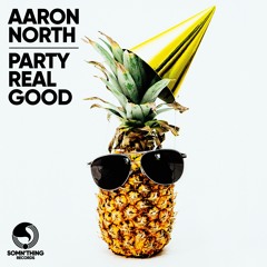 Aaron North - Party Real Good (Original Mix)