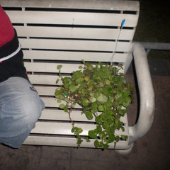 Bonita (me gustaba una lesbiana(quenoeralesbiana))