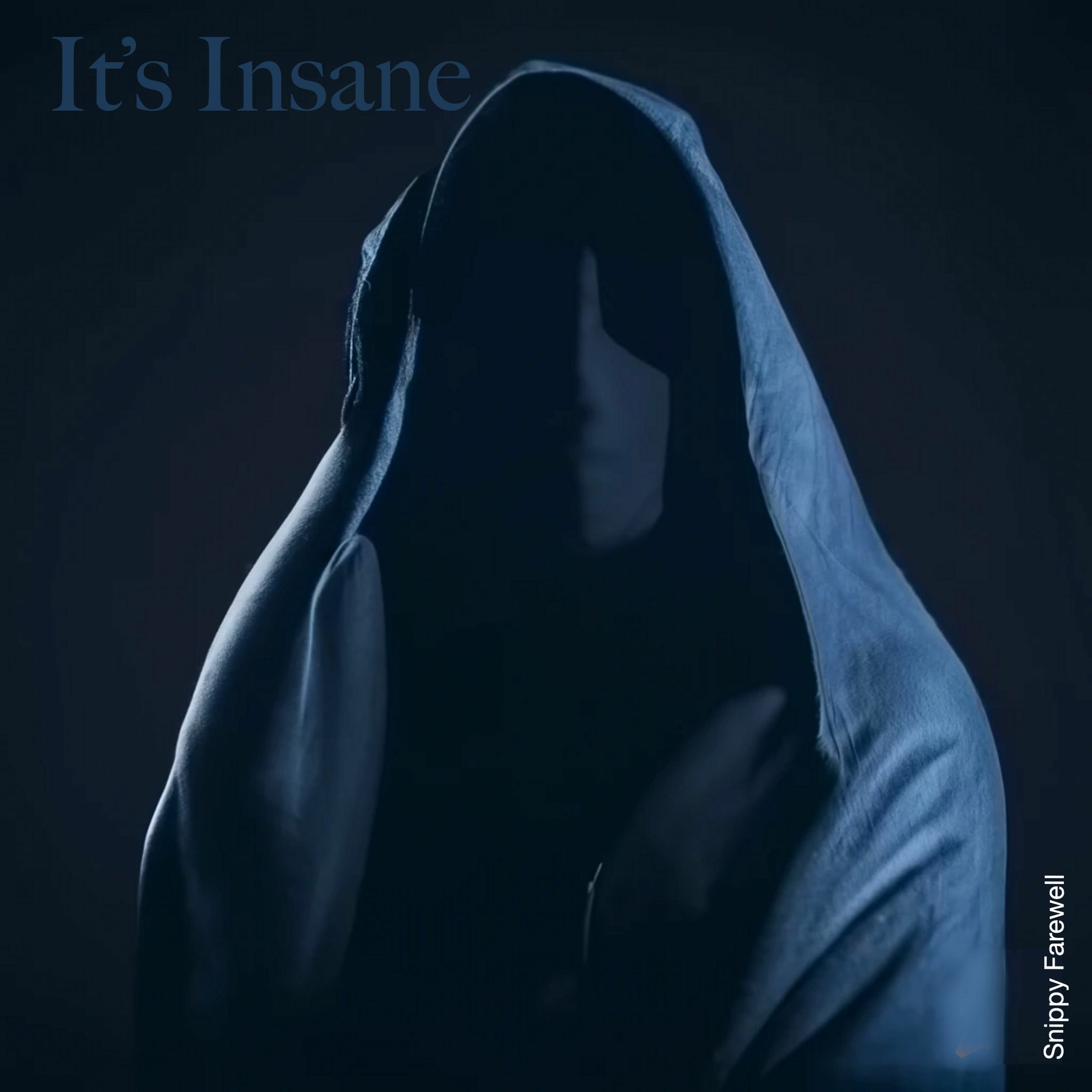 It's Insane episode artwork