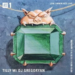 NTS Radio ~ Tilly w/ DJ Gregoryan (16.10.23)