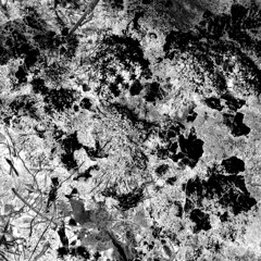 Don't Leave Me Alone