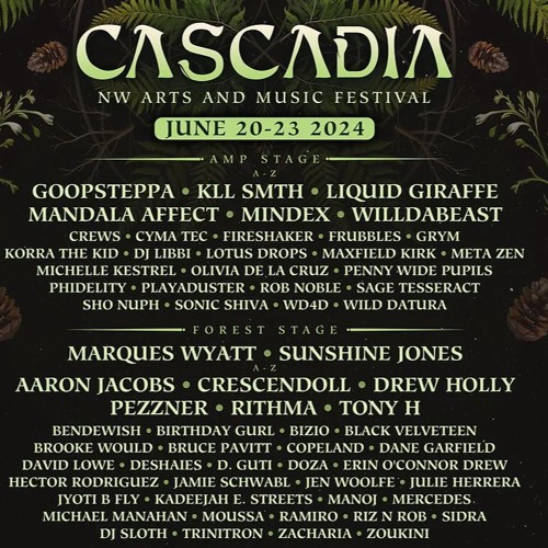 2024 - 06 Cascadia - An epic wedding festival for Michael Manahan and Jamie Shwabl