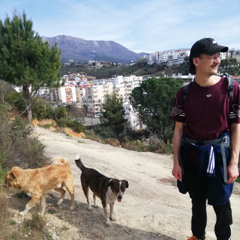 Frühlingsset März 25