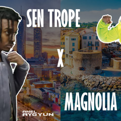 AZIS X PLAYBOI CARTI / Sen Trope x Magnolia - Remix