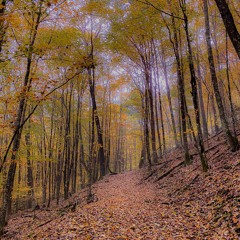 Spooky Ridge