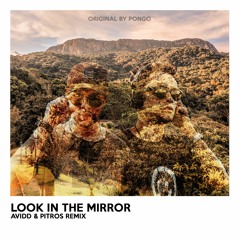 Avidd & Pitros - Look In The Mirror (Original By Pongo) [Radio Edit]