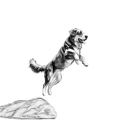 Quantum Leap