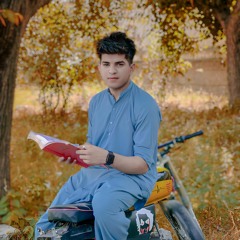 Zari_Zari_Zari_[_Slowed_Reverb_]