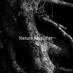 𝐍𝐚𝐭𝐮𝐫𝐞 𝐀𝐦𝐩𝐥𝐢𝐟𝐢𝐞𝐫