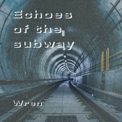 Echoes Of The Subway
