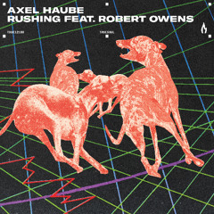 Premiere: Axel Haube - Rushing ft. Robert Owens [Truesoul]