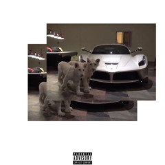 amant okane - whole lotta red [playboi carti]