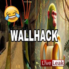 wallhack