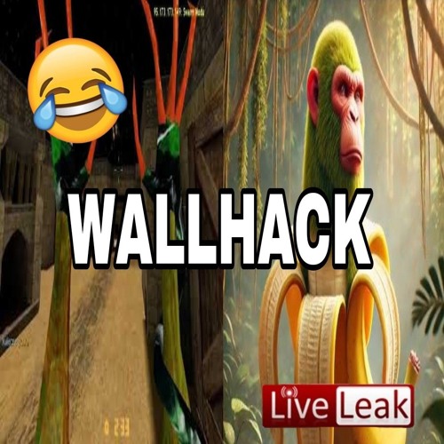 wallhack