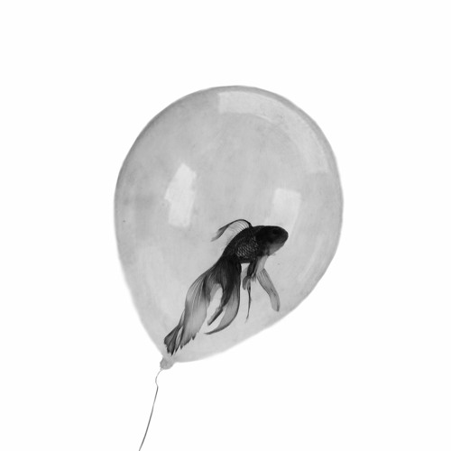White Haze By Shcaa