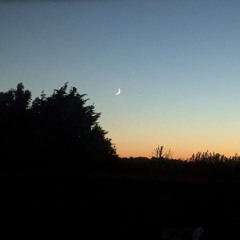 midnight on the ground