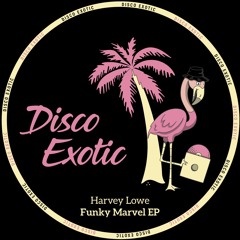 FREE DOWNLOAD: Harvey Lowe - Always Back To You [Disco Exotic]