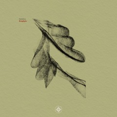 Delafore - Thick Environment [CELLAR DOOR RECORDS]
