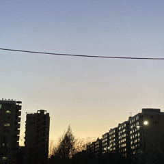 나플라 그랬나봐
