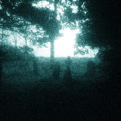 zedd - spectrum (veceit remix)