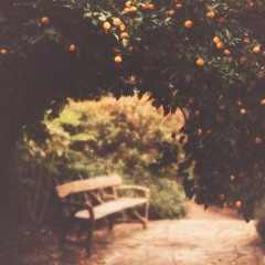 Daal Band - Sweetness of A Dream