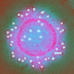 Fiebertraum