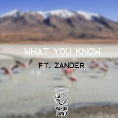 What You Know Ft. ZanderGrey (Still Mine Remix)