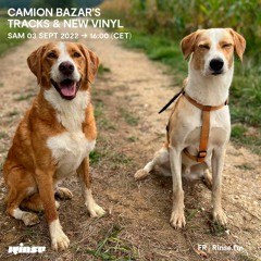 Camion Bazar's Tracks & New Vinyl  - 03 Septembre 2022