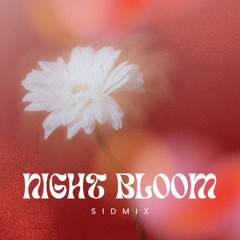 Night Bloom (Arabic House Chill)