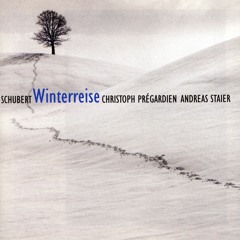 Winterreise, Op. 89, D. 911: No. 11, Frühlingstraum (feat. Andreas Staier)