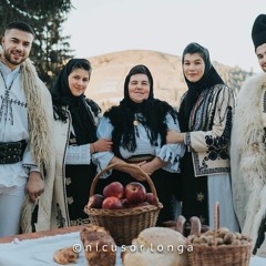 Culita Sterp Și Frații Iancu, Geta, IleanaVeste Buna - N Tot Pamantul COLAJ COLINDE 2020 - 2021