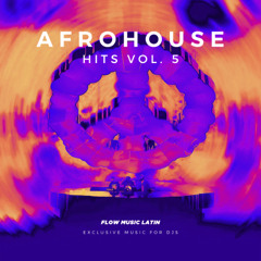 AFRO HOUSE HITS VOL. 5 🥁 (REMIXES, EDITS, MASHUPS) - 108 TRACKS