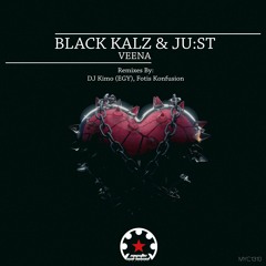 MYC1310 - Black Kalz & JU:ST - Veena EP (Mystic Carousel Records) Mar 18, 2024