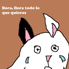 no quiero