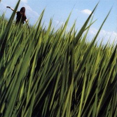 'St%rs' & ‘cr%ss’ (Self Prod.)