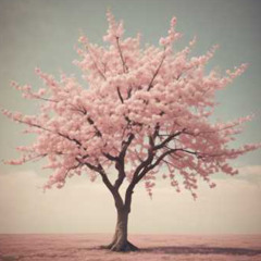 "제목 벚꽃의 꿈 (Sakura Dream)"(prod.SA15N) - Lee Du Nа