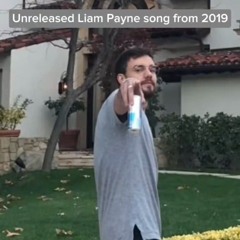 what have you done - liam x ritual (demo)(128K).mp3