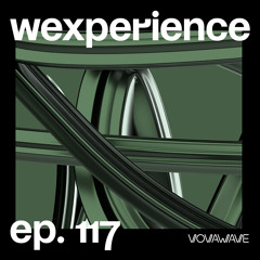 WExperience #117