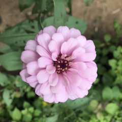 #MHEYRevivals - Nadarang | MHEYR Media.mp3