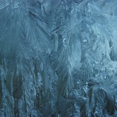 Live session: Sub-Zero